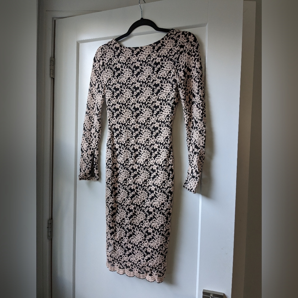 Embroidered Lace Fitted Dress